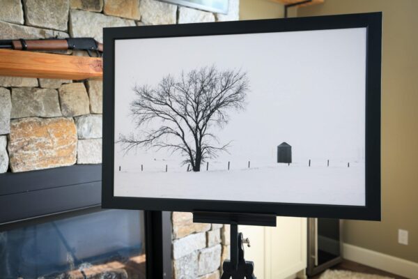 The Last Grain Bin 20x30" Framed Wall Canvas