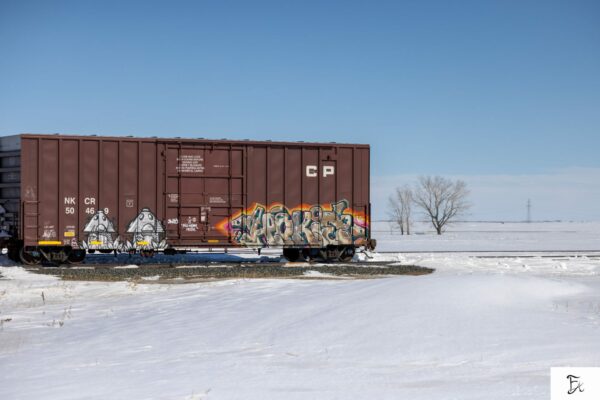 Box Car 11x14" Print