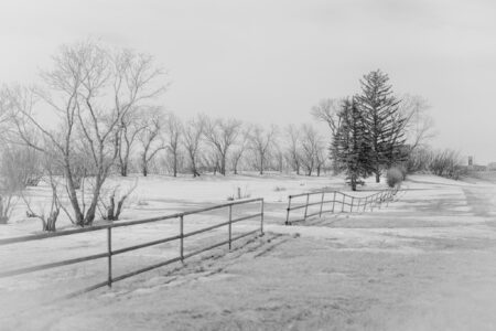 On a Winter Road 11x14" Print
