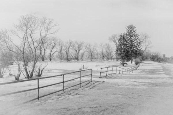 On a Winter Road 11x14" Print