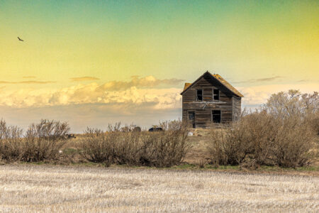 Homestead 1920 11x14" Print