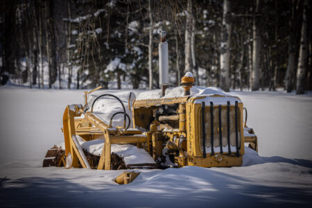 Ironhorse 11x14" Print