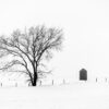 "The Last Grain Bin" Limited Edition Gallery Canvas 20x30" - Image 2