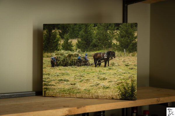Learning To Take The Reigns 11x14" Limited Gallery Wrapped Canvas