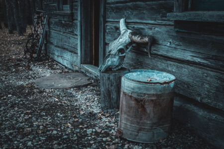 "Echoes Of Timber & Bone Limited Edition 20x30" Gallery Canvas