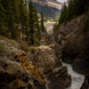 "Where The Wild Keeps It's Secrets" Limited Edition Framed Matte Print - Image 2