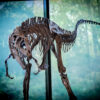 "Prehistoric Threat" Limited Edition Frame Matte Print - Image 2