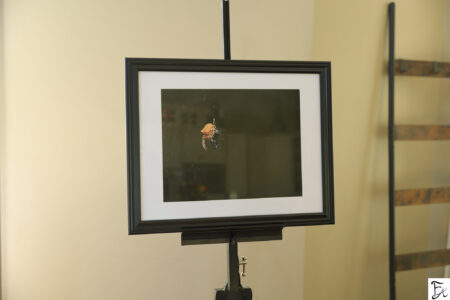 "Tears Of Reflection" Limited Edition Framed Matte Print