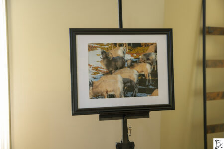 "Skyward And Still" Limited Edition Framed Matte Print