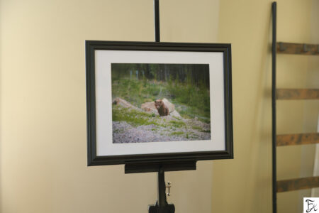 "Curious Lil Bear" Limited Edition Framed Matte Print