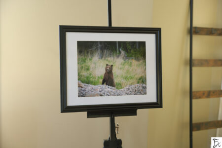 "Fuzzy lil Bear" Limited Edition Framed Matte Print