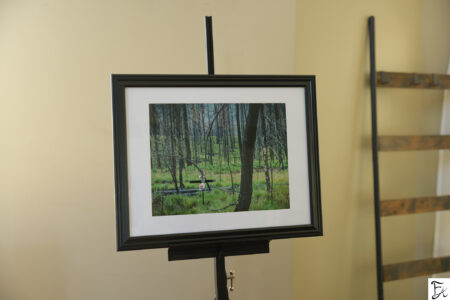 "What Remains" Limited Edition Framed Matte Print