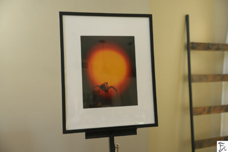 "Suspended Between Worlds" Limited Edition Framed Matte Print