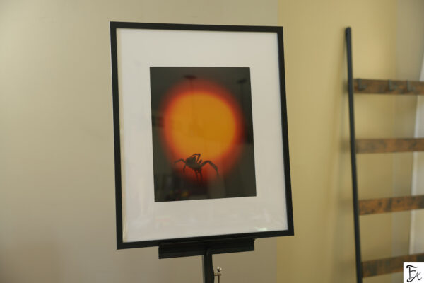 "Suspended Between Worlds" Limited Edition Framed Matte Print