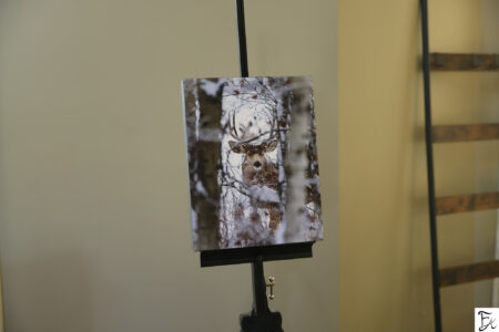 "Hidden" Limited Edition Gallery Wrapped Canvas 11x14"