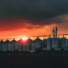 "The Length Of Harvest" Limited Edition Framed Matte Print - Image 2
