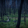"What Remains" Limited Edition Framed Matte Print - Image 2