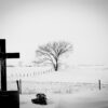 "Tree After Death" Limited Edition Framed Matte Print - Image 2